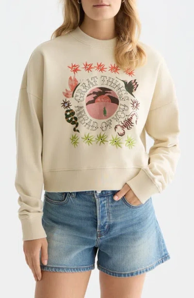 Scotch & Soda Artwork Embroidered Cotton Sweatshirt In Neutral
