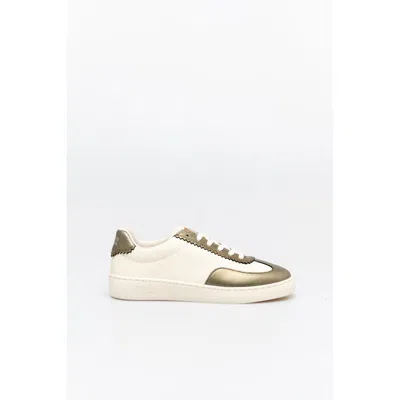 Scotch & Soda Bronze Leather Low Top Sneakers In Brown