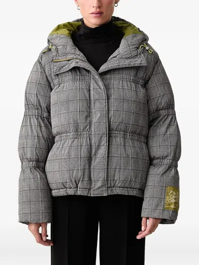 Scotch & Soda Check-print Puffer Jacket In Grey