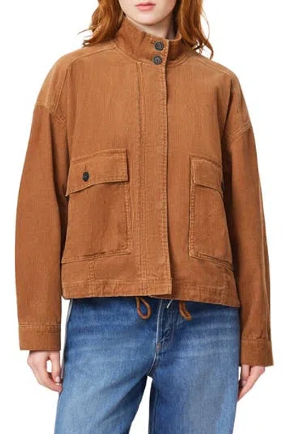 Scotch & Soda Corduroy Cropped Utility Jacket In Brown