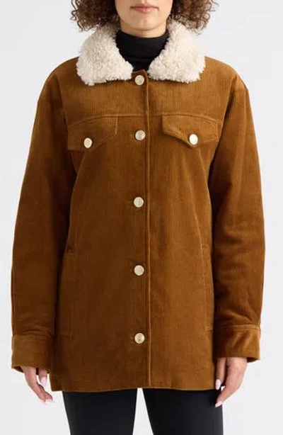 Scotch & Soda Roos Padded Corduroy Shacket In Black