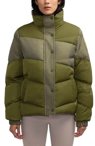 Scotch & Soda Skyla Boxy Denim Puffer Jacket In Green