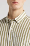 Scott Barber Bold Stripe Cotton Sateen Button-down Shirt In Green