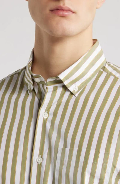 Scott Barber Bold Stripe Cotton Sateen Button-down Shirt In Sage