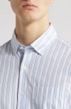 Scott Barber Bold Stripe Cotton Sateen Button-down Shirt In Sky