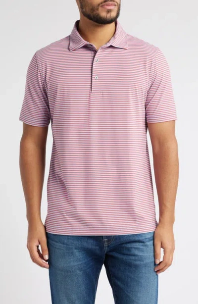 Scott Barber Prep Stripe Polo In Berry