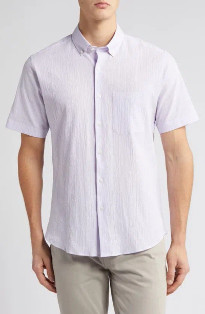 Scott Barber Stripe Short Sleeve Cotton Seersucker Button-down Shirt In Grapeade