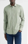 Scott Barber Thomas Mason Regular Fit Stripe Cotton Button-up Shirt In Green