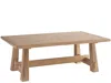 Scout & Nimble Canyon Rectangular Cocktail Table
