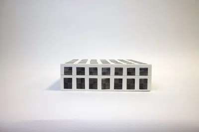 Scout & Nimble Jaxx Checkered Bone Box