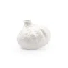 Scout & Nimble Tamarindo White Porcelain Vase