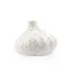 Scout & Nimble Tamarindo White Porcelain Vase