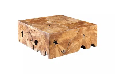 Scout & Nimble Teak Slice Coffee Table, Square