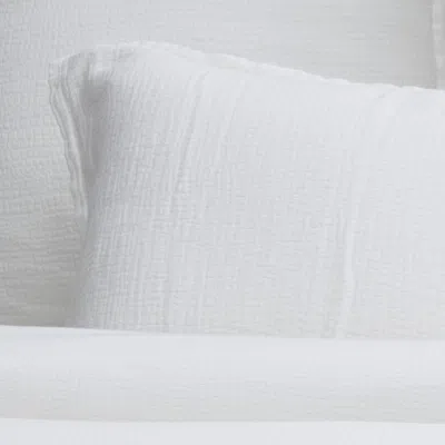 Scout & Nimble Waverly Duvet Set