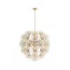 Scout & Nimble Winona Gold Ivory Coconut Chandelier