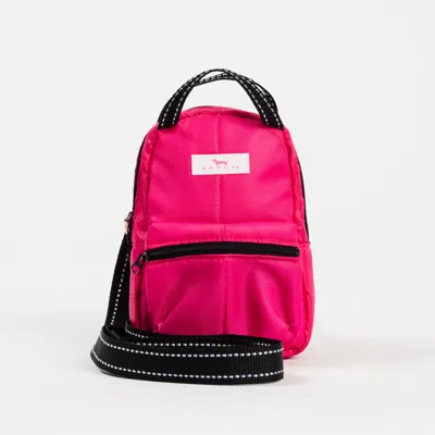 Scout Bags Globetrotter Backpack
