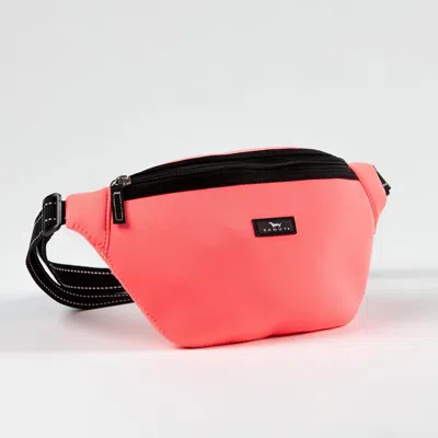 Scout Bags Neoprene Belt Bag