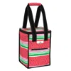 Scout Bags Soft Cooler Medium