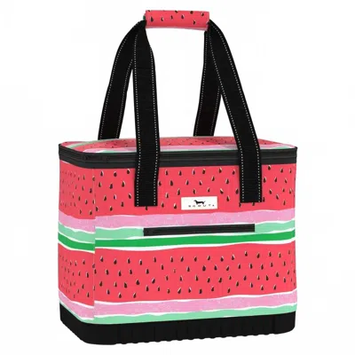Scout The Stiff One Cooler Bag In Melondramatic In Red