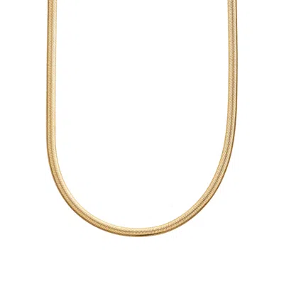 Scream Pretty Women's Gold Flat Snake Chain Necklace