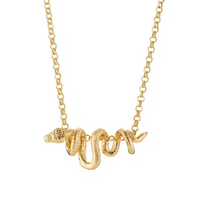 Scream Pretty Women's Gold Plated Chinese Zodiac Snake Necklace