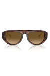 Scuderia Ferrari 55mm Pilot Sunglasses In Brown