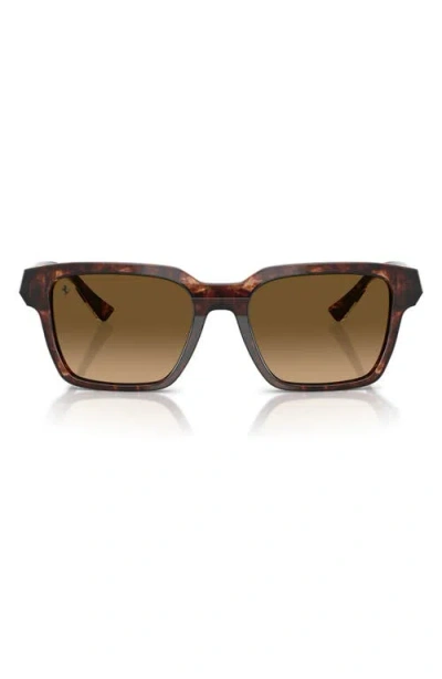 Scuderia Ferrari 55mm Polarized Square Sunglasses In Brown