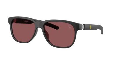 Scuderia Ferrari Man Sunglass Fz6033d In Burgundy