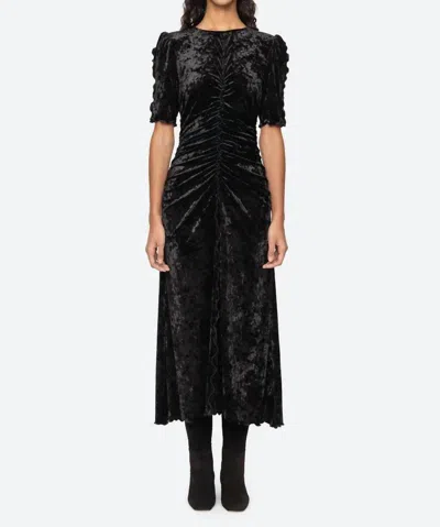 Sea Cailyn Crushed Velvet Ruched Midi Dress In Black In Animal Print
