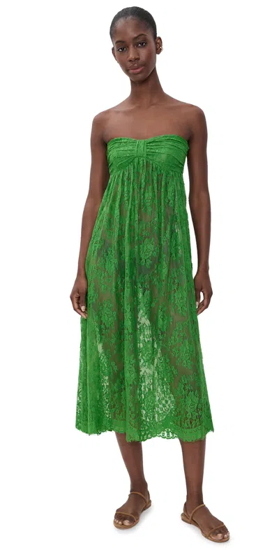Sea Carmella Lace Strapless Dress Green