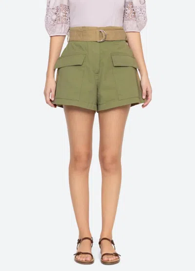 Sea Carolina Belted Short In Chino In Green