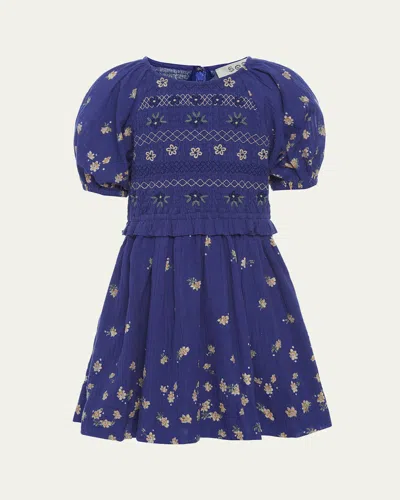 Sea Kids' Girl's Elizabeth Floral-embroidered Dress In Blue