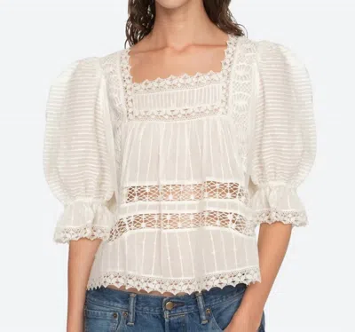Sea Haven Top In Cream In Multi