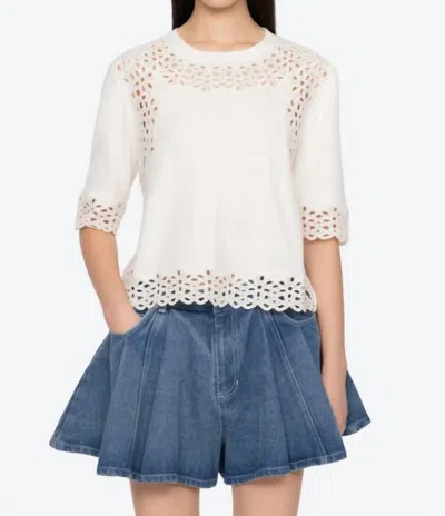 Sea Leila Sweater In Cream In White