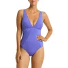 Sea Level Capri Panel Line Multifit One-piece Swimsuit In Iris