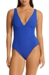 Sea Level Panel Line Multifit One-piece Swimsuit