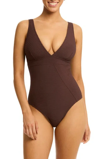 Sea Level Panel Line Multifit One-piece Swimsuit In Cocoa