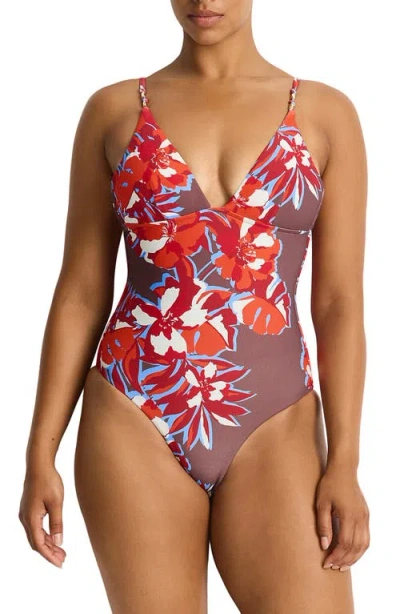 Sea Level Triangle One-piece Swimsuit In Multi