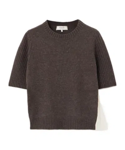 Sea Trimmed Wool Sweater In Brown