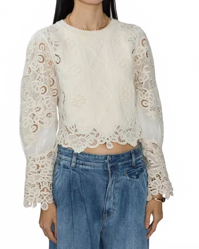 Sea Vania Lace Combo Sleeve Sweater In Cream In White