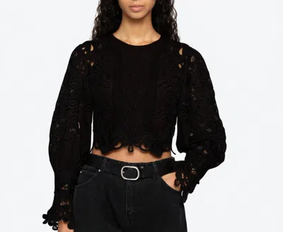 Sea Vania Lace Combo Sweater In Black
