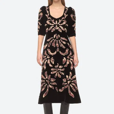 Sea Veda Appliquéd And Embroidered Velvet Midi Dress In Black