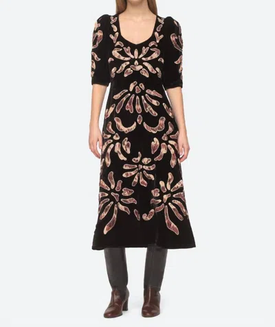 Sea Veda Appliquéd And Embroidered Velvet Midi Dress In Black