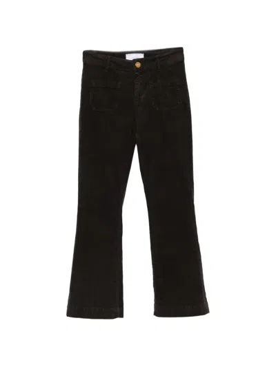 Seafarer Corduroy Flared Jeans In Brown