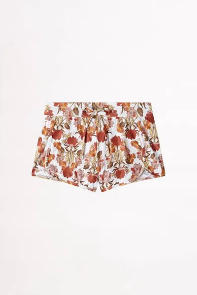 Seafolly Kids' Girls Papillon Swim Shorts In Red In Pink