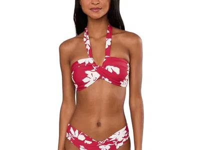 Seafolly Mayflower Halter Bandeau Women's Clothing Cosmo Red: Aus 8 (us Women's 4) In Multi