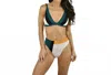 Seafolly Multi Longline Tri Bikini Top In Aralia Color Block In Green