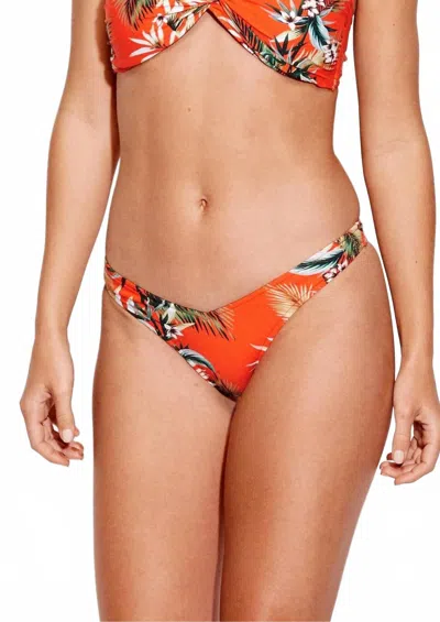 Seafolly Ocean Alley Rio Bikini Bottom In Tangelo In Multi