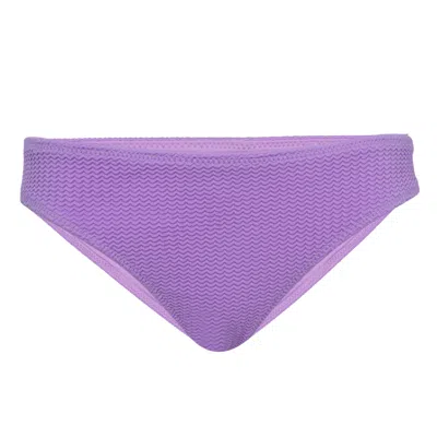 Seafolly Sea Dive Hipster Wild Rose In Blue