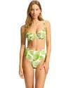 Seafolly Sunray Bra Women's Sage Leaf Print Stretch Swimwear Underwire Buu204 In Green